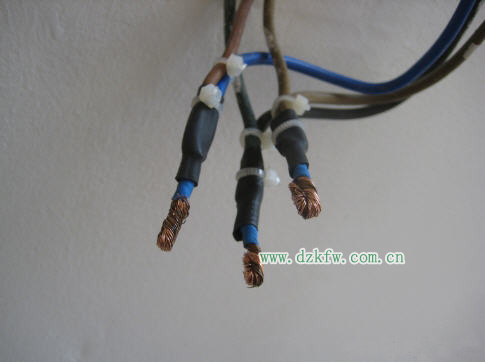 ��ͥ�b������OӋ�������Ľӷ� - aaafk - aaafk ��� �C��늹�